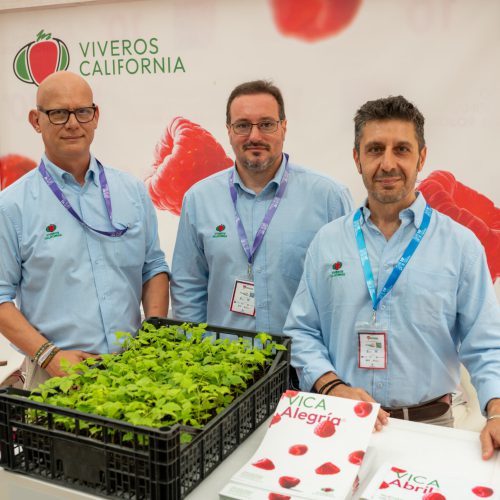 FRUTOS_ROJOS_STANDS-401