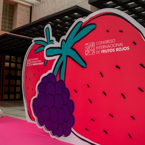 PRES.CONGRES.FRUTOS_ROJOS-03