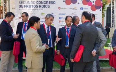 Chile, Perú y Francia expondrán la situación de sus sectores en el III Congreso de Frutos Rojos