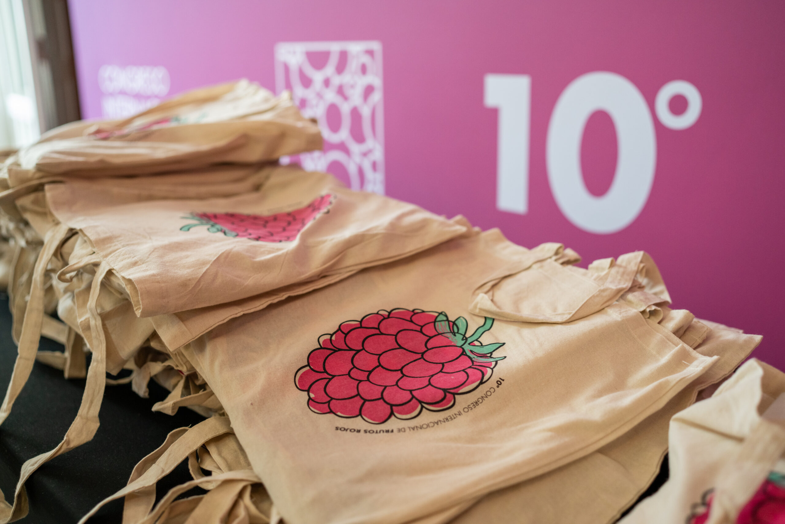 FRUTOS_ROJOS_STANDS-009